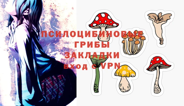 крисы Алзамай