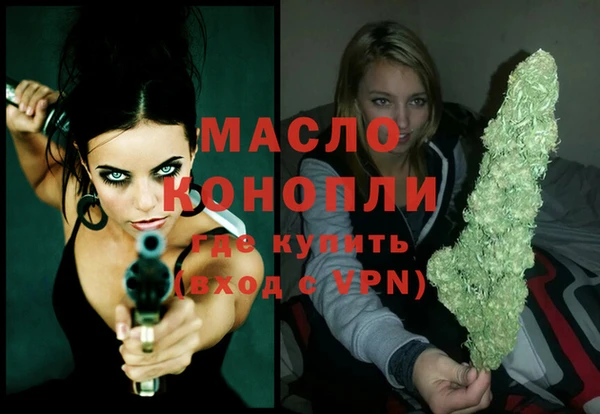 крисы Алзамай